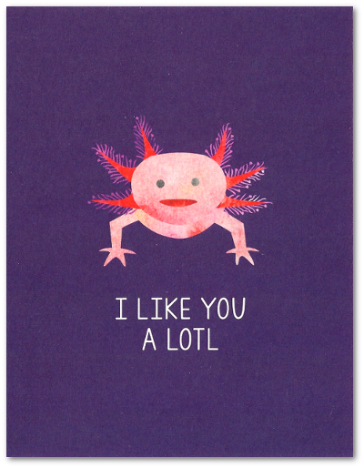 Axolotl Valentine's Day Card