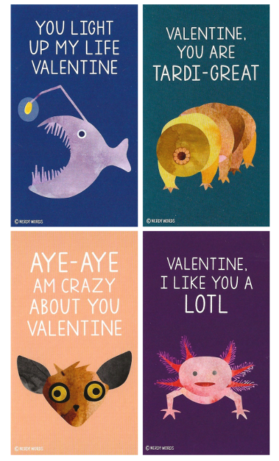 Axolotl Tardigrade Angler Fish and Aye Aye Valentines Cards